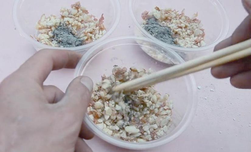 老鼠無法嘔吐的原因_老鼠藥配方大全_小蘇打老鼠藥制作方法