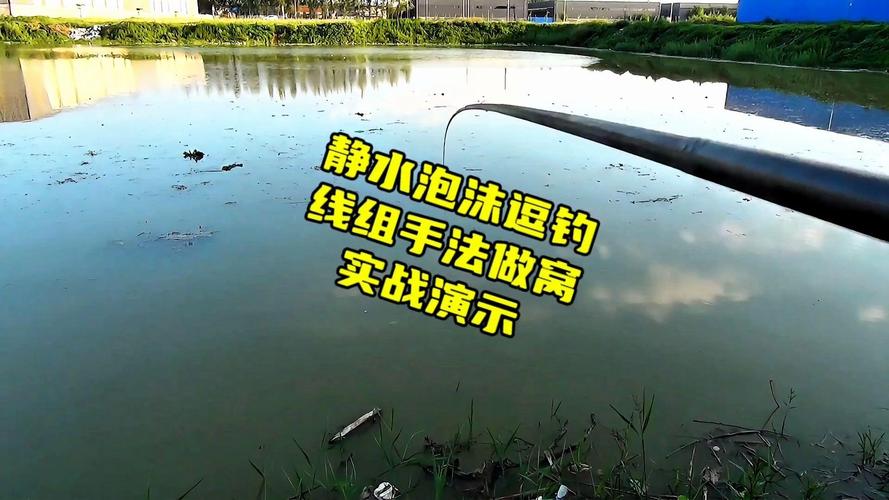 釣休閑塘適合沒食找食還是食會_休閑釣_釣休閑塘用什么餌料