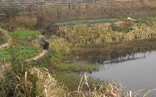 野塘野溝的特點及野釣方法