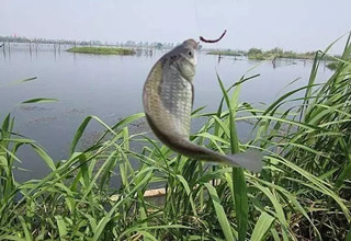 江河野外釣魚如何避免掛底？