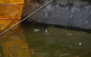 高手野外釣魚調漂經驗分享