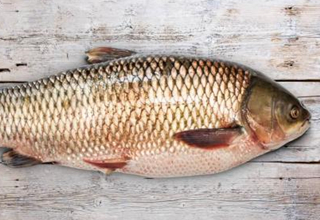 4招！教你夏末秋初野釣大草魚