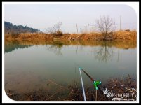 拆遷塘探釣漁獲大豐-大鳊魚大鯉魚