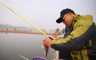 手竿釣鳊魚的一些技巧分析