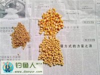 自制誘餌窩料(鯽魚鯉魚草魚通殺)分享