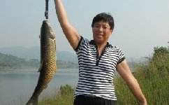 釣魚老者自制糟食發酵釣草魚餌料配方
