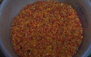 自制釣草魚誘餌與釣餌的制作方法