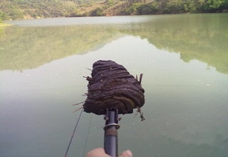 釣魚高手傳授傳統釣的八種釣法