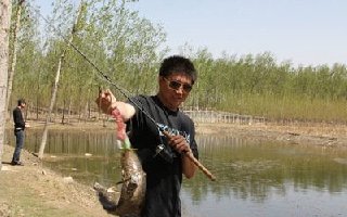 野釣黑魚的五個實用技巧