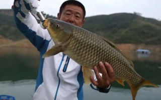 春秋季垂釣黑魚的技巧全攻略教程