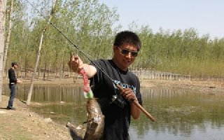 釣黑魚的釣組釣餌的選擇與釣法