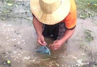 懶人釣魚法，黑魚黃鱔一個都沒少