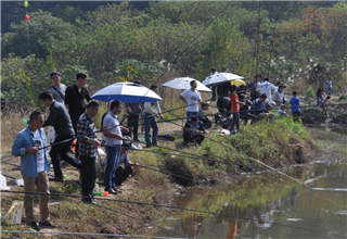 釣鯽魚鯉魚草魚的大水面通殺餌配方