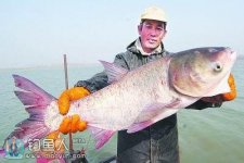 自制一款實用型浮釣鰱鳙餌料配方