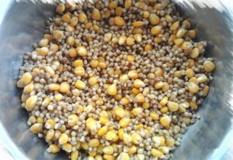 這款鯉魚窩料適合湖泊水庫等水深野釣