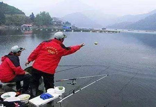不同對象魚的打窩餌料和打窩方法