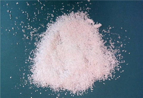 雪花粉有什么用？這些開餌技巧助你大鯽大鯉