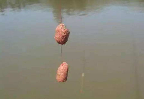 秋季海竿釣鯰魚小技巧，你掌握了嗎？