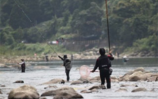 溪流野釣鯰魚的八個實用技巧