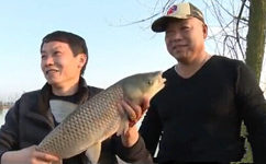 生物鏈釣鯰法的一些技巧分享