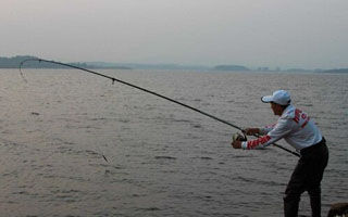 釣青魚的四個技巧及中魚揚竿事項