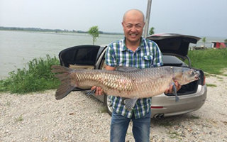 青魚怎么釣之六種技巧來介紹