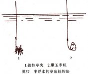 高手分享青魚的12種釣法