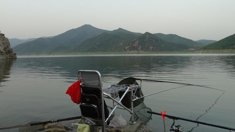 春季釣鯉魚，注重餌料的搭配使用，上魚快魚獲多