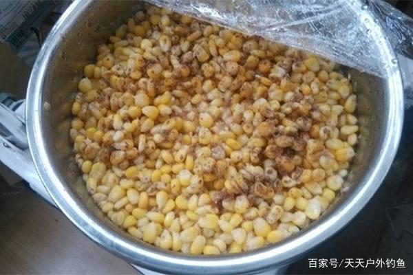 草魚的三種遠投釣法，簡單有效，助你連竿大草魚！
