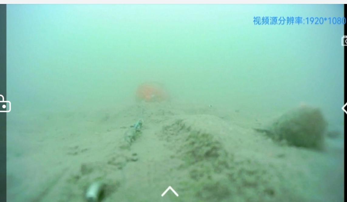 春季野釣，釣點，釣位如何選擇（河流篇）