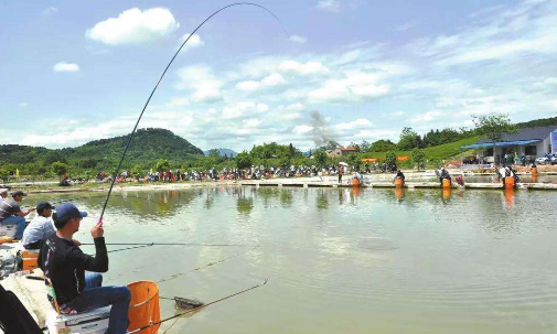 怎樣進行垂釣羅非魚？看完小編的經驗，你就會釣羅非魚了