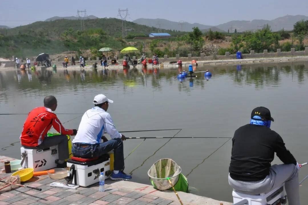 釣魚累積的經驗教會我，小鉤簡餌也能釣到大魚