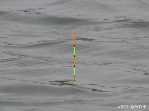 如何正確使用磯竿？原來磯釣竿還有這4種釣法