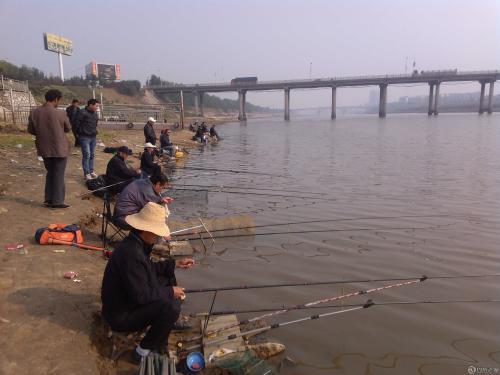 什么時候吃透了釣魚的這5個經驗技巧，新手就能升級成老手了