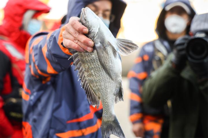 “海釣天堂”為海釣立法，深意幾何？
