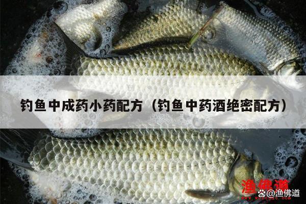 釣魚中成藥小藥配方（釣魚中藥酒絕密配方）