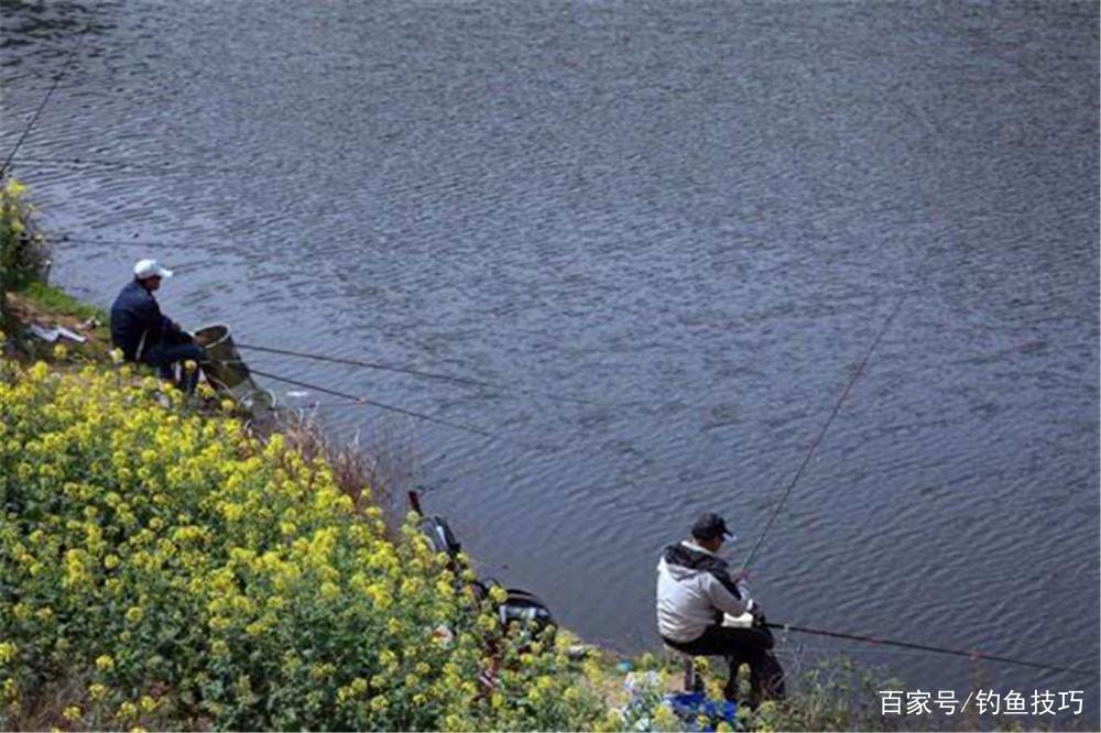 春季釣鯽魚，記住4個黃金階段