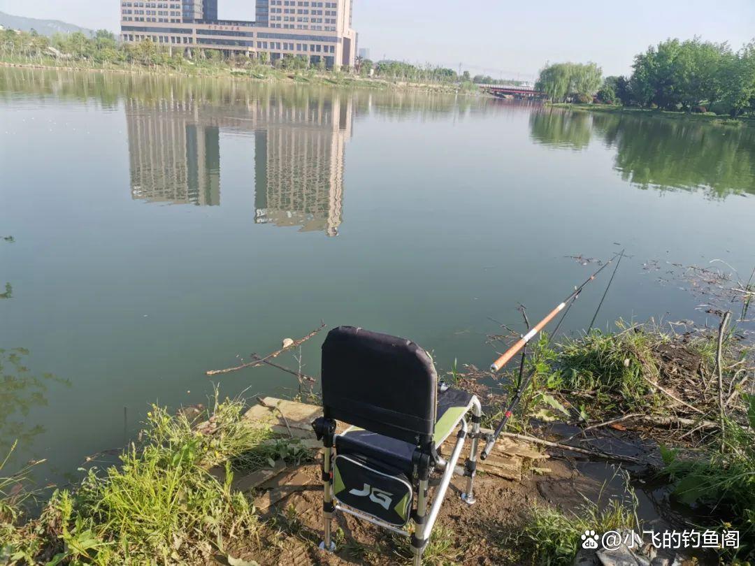 春季釣鯉魚怎么總空軍？恐怕是選錯了水深，才錯過了魚！