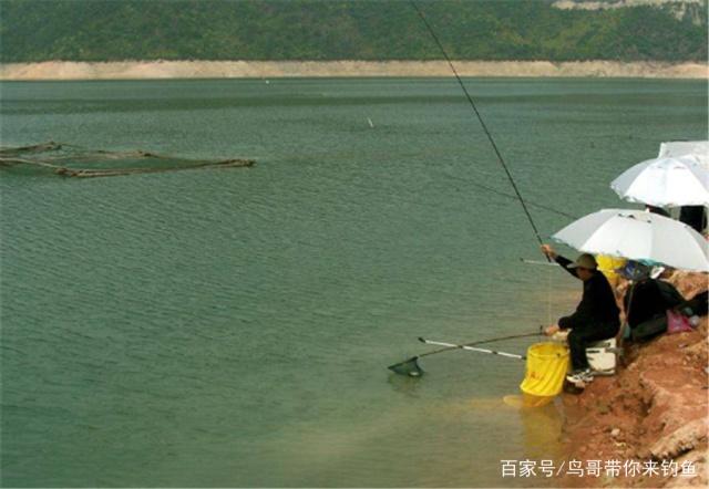 野河垂釣黑魚時，掌握這些技巧，再也不愁釣不上來