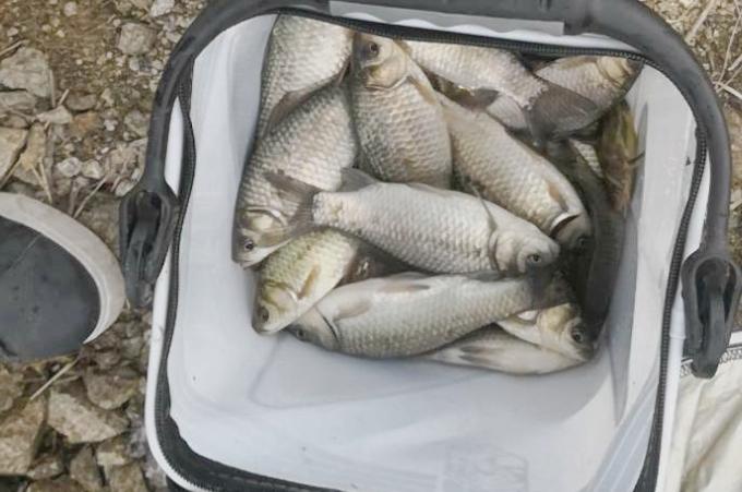 春末釣鯽魚，需要變個思路了，換個釣法，更容易釣到大板鯽