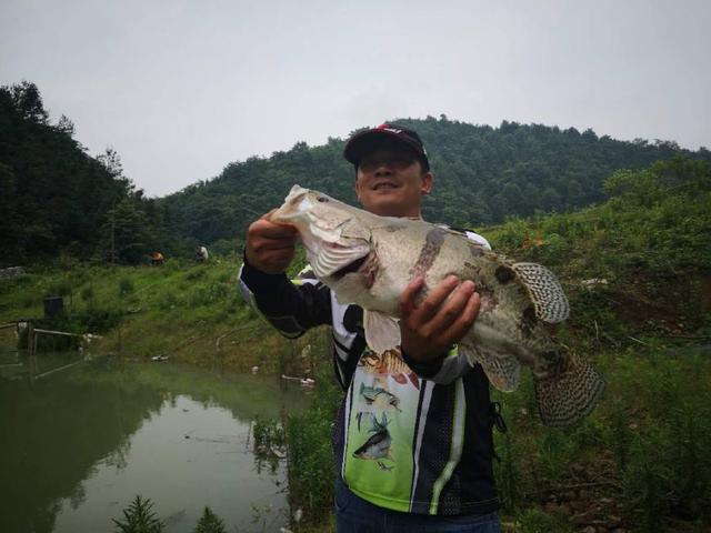 水庫路亞鱖魚，8個實戰技巧