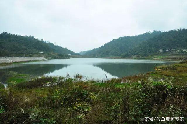怎樣釣鯉魚最快爆護？釣魚高手，分享釣鯉魚4大絕招