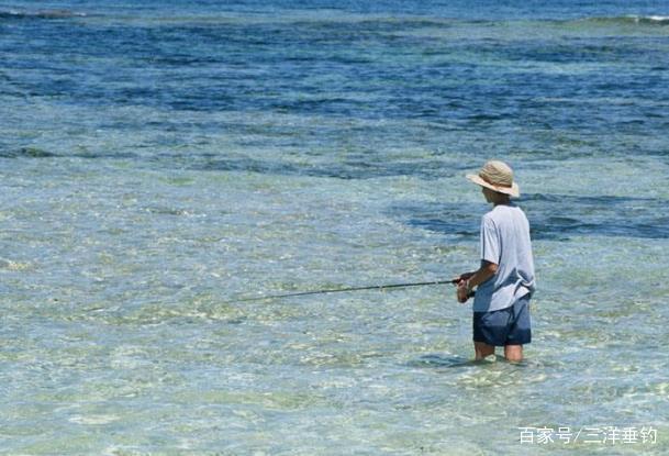想要釣獲黑魚？先從了解它的生活習性做起！