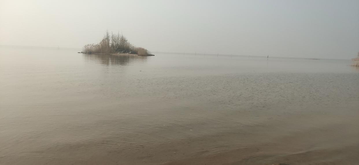 如何野釣大鯽魚