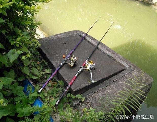 甩桿拋竿、磯釣竿、臺釣竿的區別，了解他們的屬性釣大魚