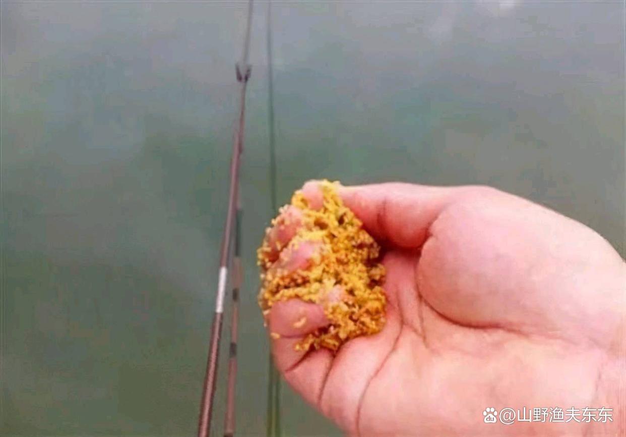秋季野釣如何打窩？需要掌握四個要點，才能起到誘魚的作用