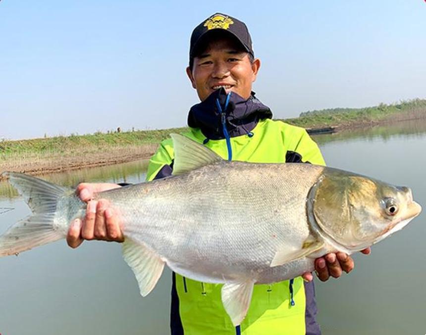 垂釣鰱鳙，除了要學習“鄧氏釣法”，這幾個技巧也很關鍵