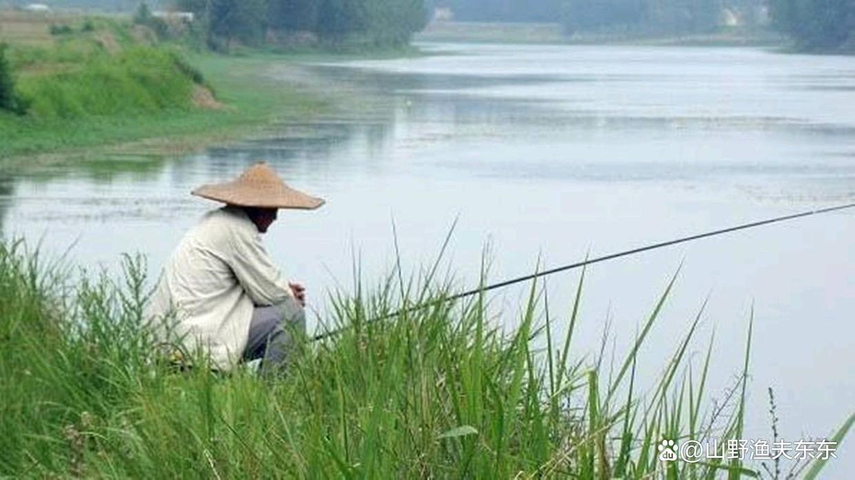 秋天野釣如何判斷魚情？牢記五點，連竿上魚不是夢