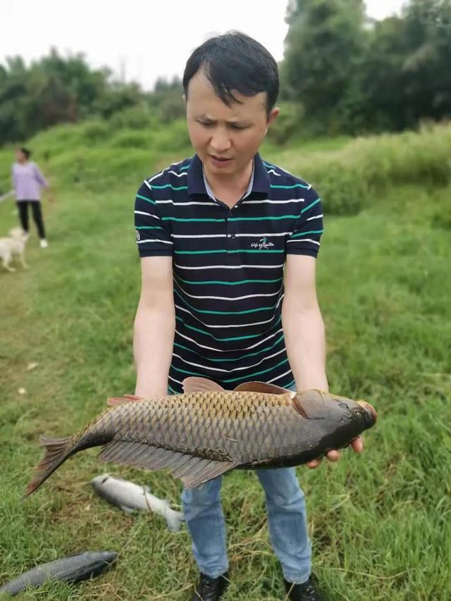 昆明周邊休閑垂釣攻略，10個水庫釣點收藏好，夠你慢慢釣一年