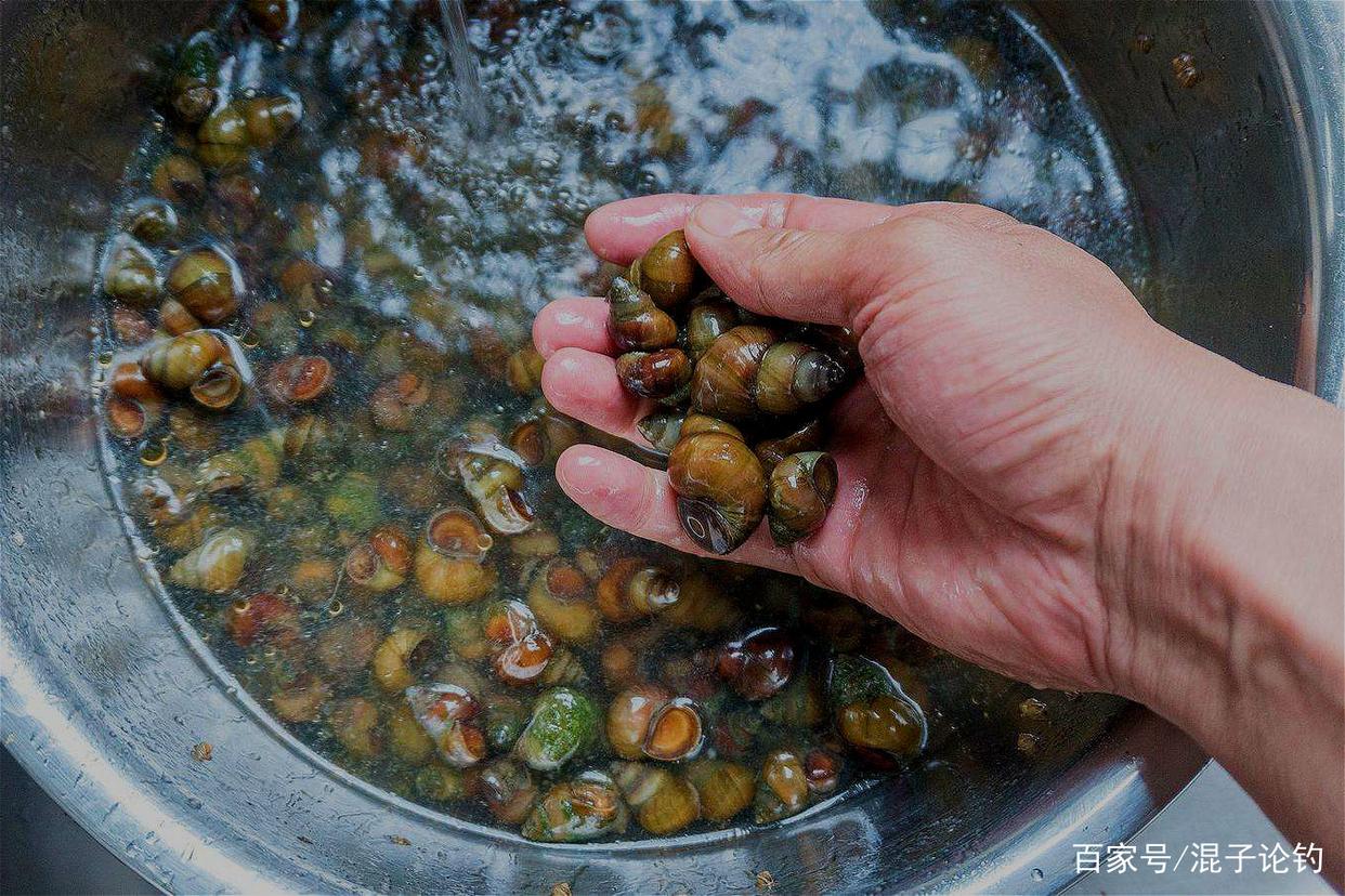 夏天這樣釣青魚，釣獲幾十斤不成問題